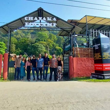 Chanaka Eco Camp Pakariāmukh Eksteriør billede